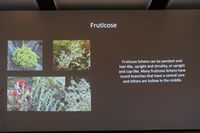 
DSC00299